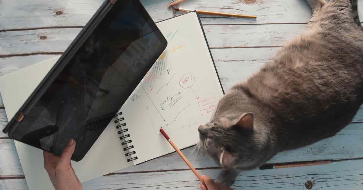 How To Avoid Stress Working From Home Easy Write Now